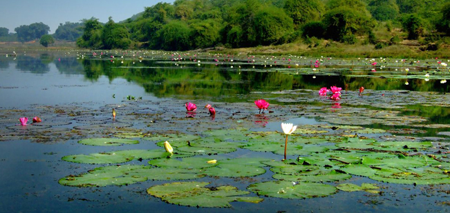 Ansupa Lake