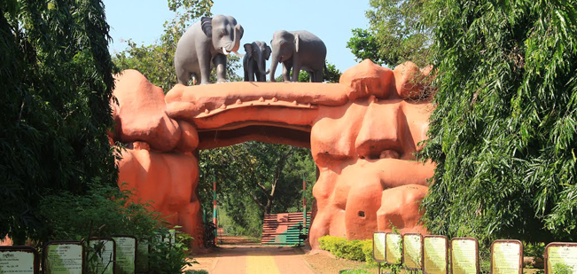 Chandaka Dampara Wildlife Sanctuary