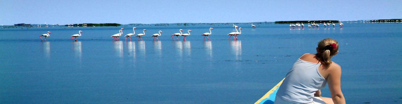 Chilika Lake Odisha