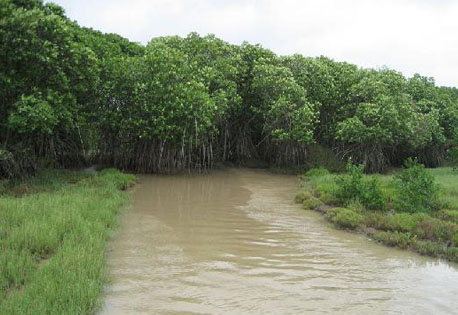 Khola Bhitarkanika