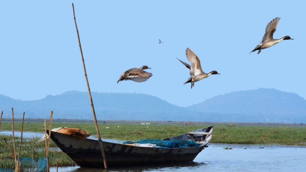 Mangalajodi Mangalajodi